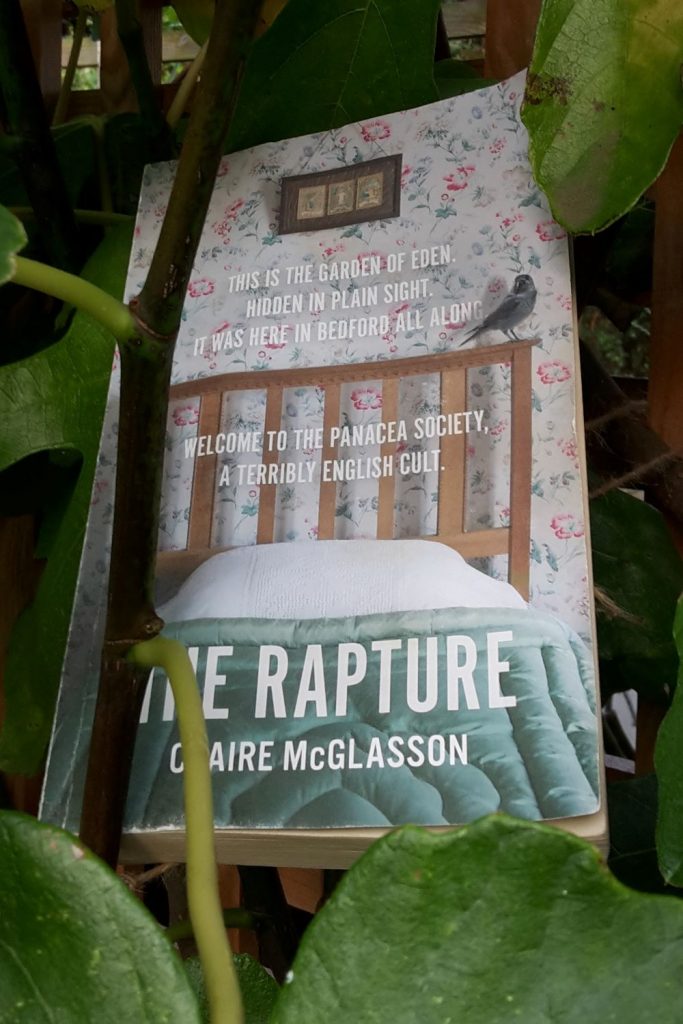 Book review: The Rapture by Claire McGlasson