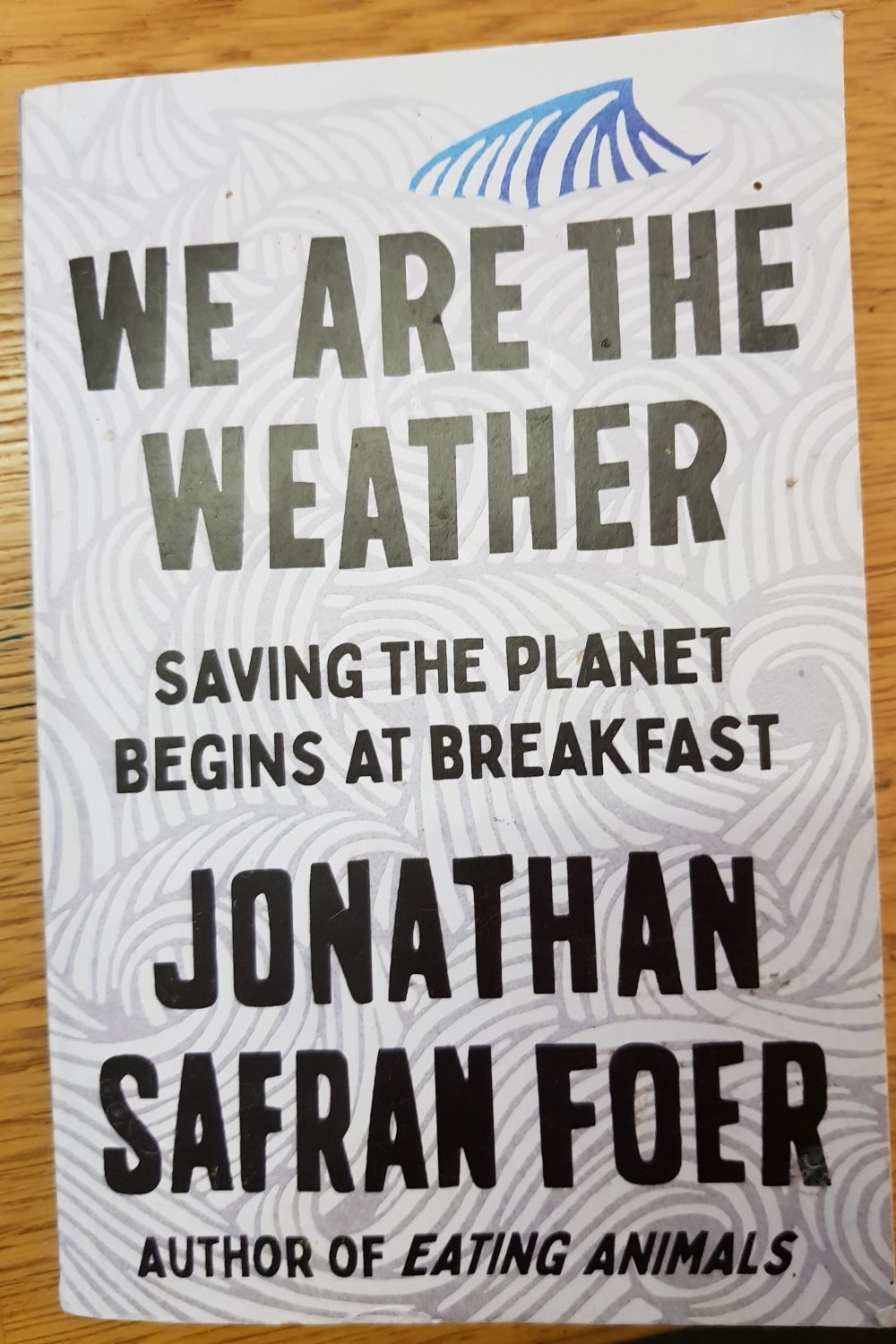 Book review: We Are The Weather: Saving the Planet Begins at Breakfast, Jonathan Safran Foer