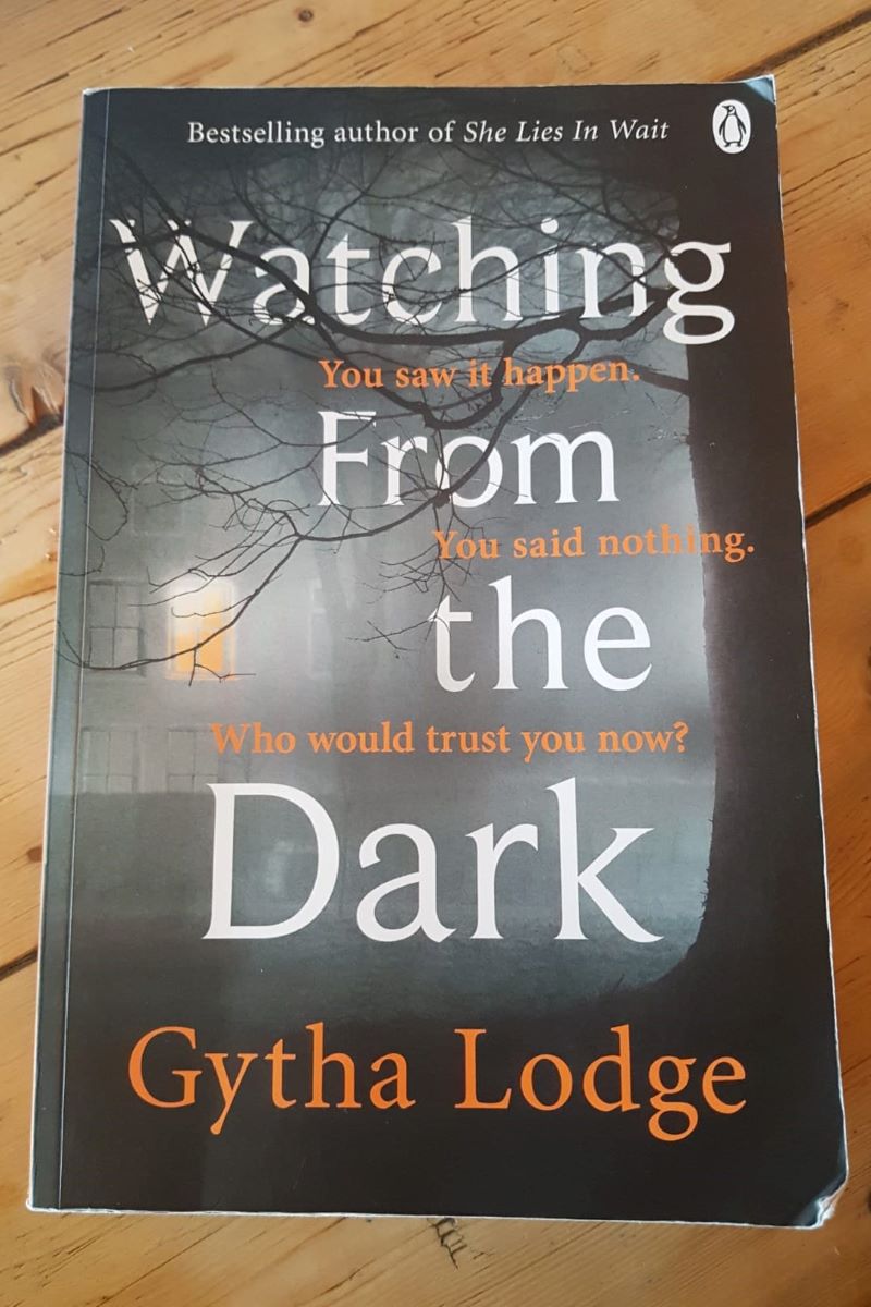 Book review: Watching From the Dark by Gytha Lodge