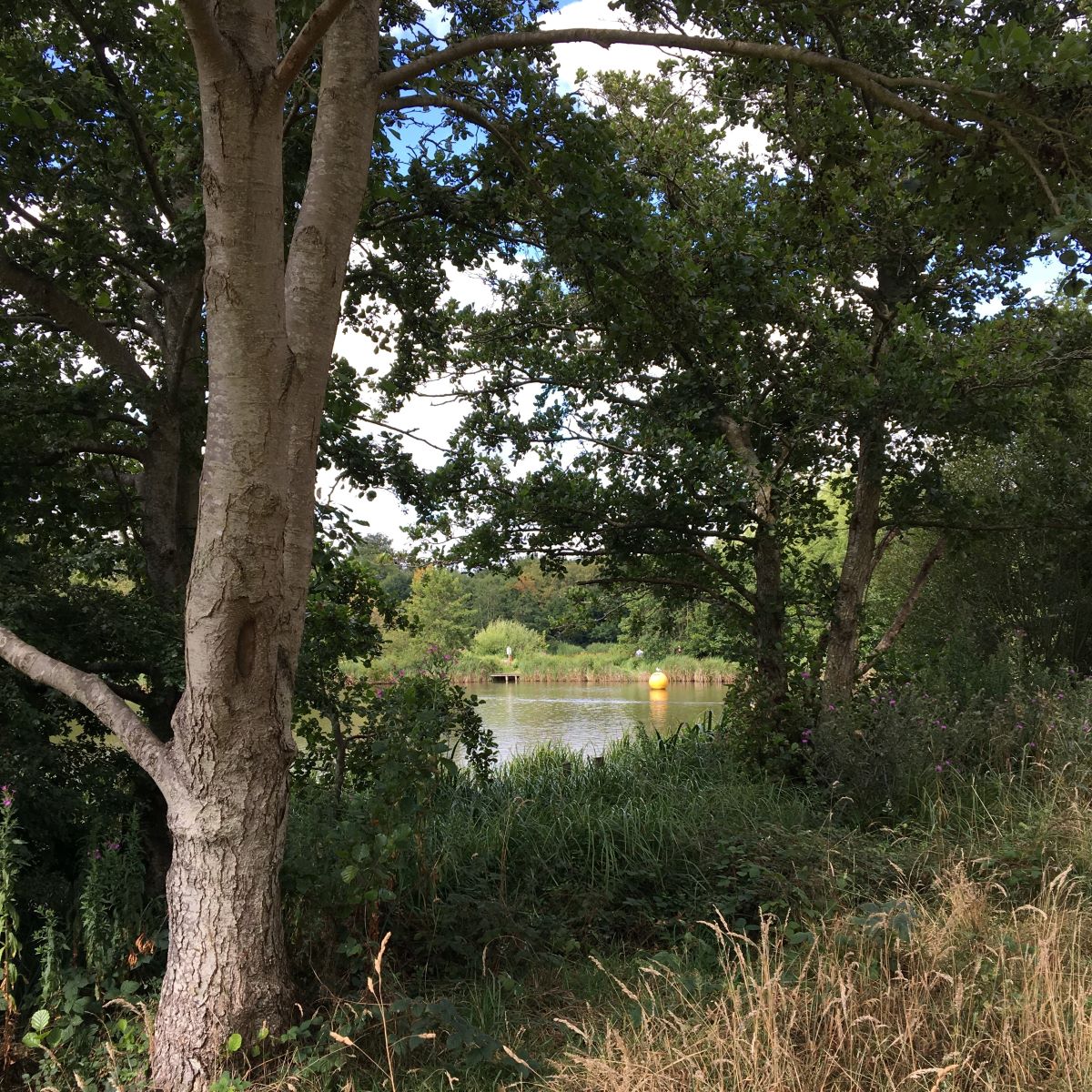 Suburban Safari: Lakeside Country Park