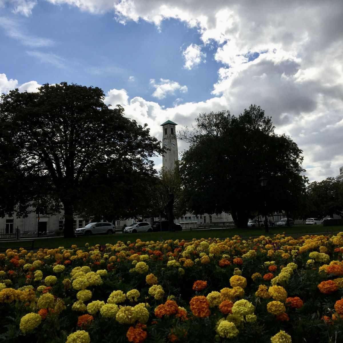 Suburban Safari: al fresco Southampton