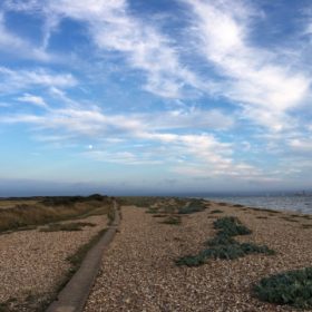 Suburban Safari: Warsash walk