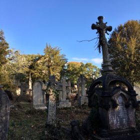 Suburban Safari: Southampton Old Cemetery