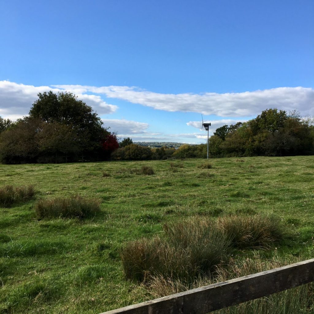 Suburban Safari: Itchen Valley Country Park  