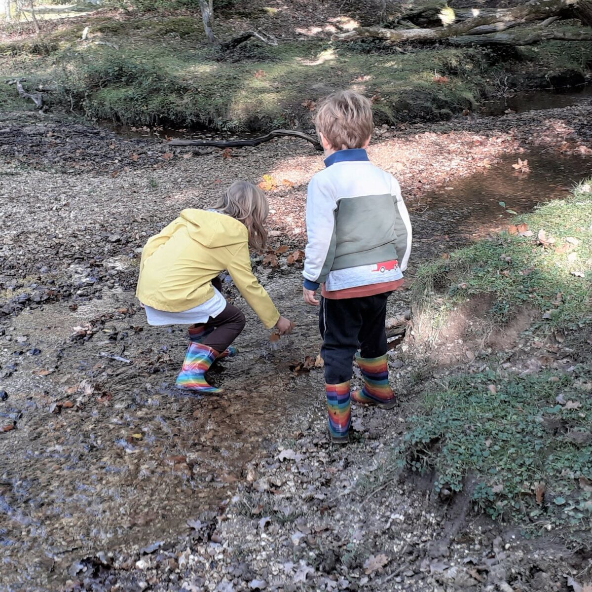New Forest children’s Christmas trail