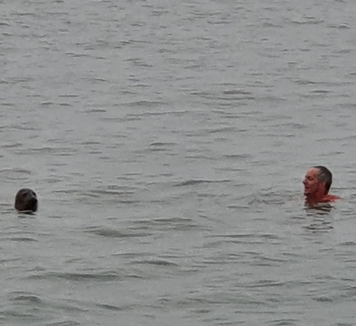 Swimmer gets a surprise when a seal joins him off Hampshire coast