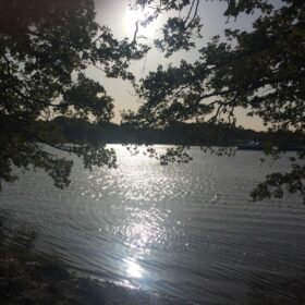 Walk: River Hamble Country Park in Bursledon