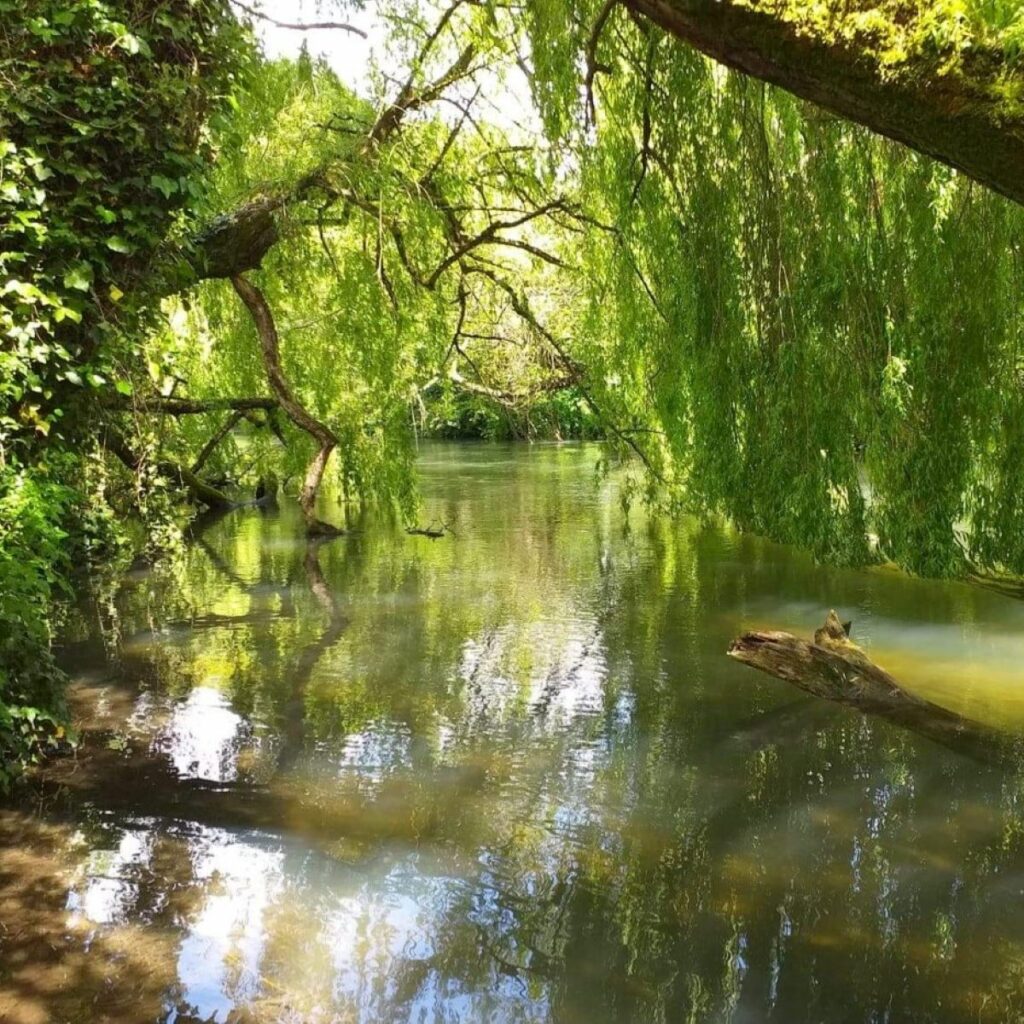 Walk: the Itchen Navigation, Southampton to Shawford