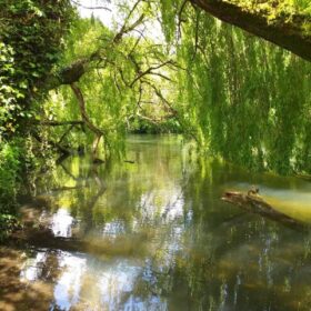 Walk: the Itchen Navigation, Southampton to Shawford