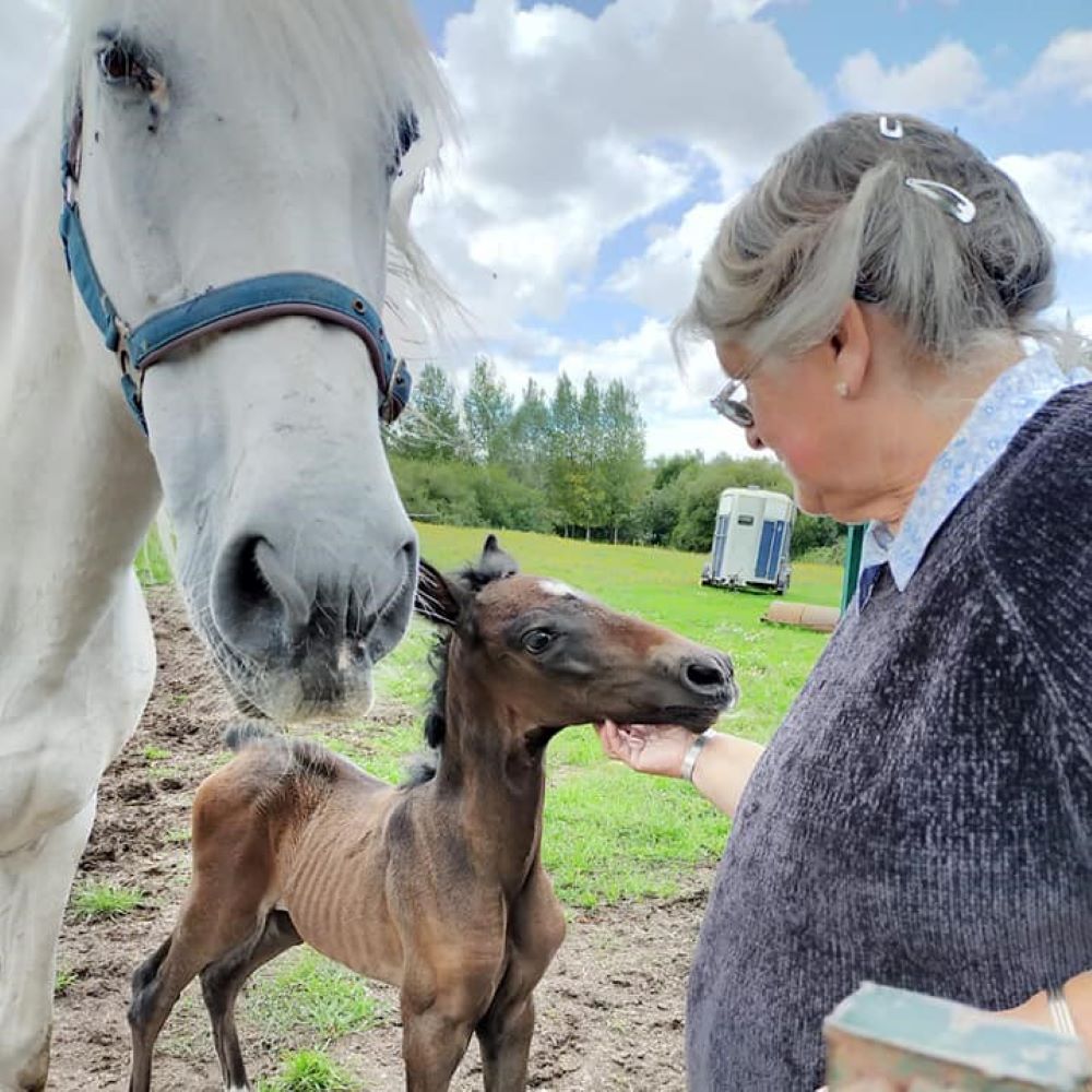 People in Common: Carol Boulton, a heroine for horses