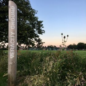 Suburban Safari: Peartree Pollinators     