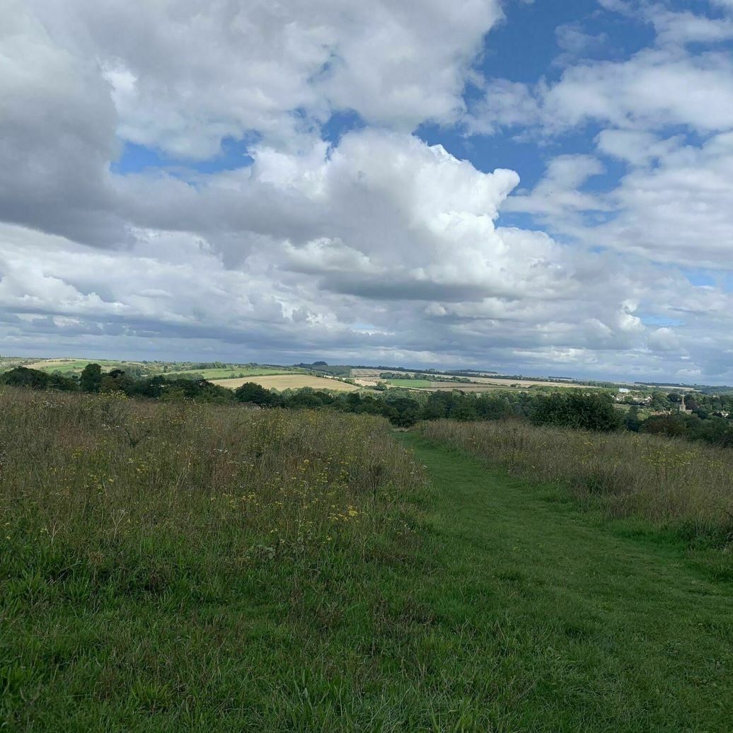 Walk: The Itchen Navigation, Shawford Down