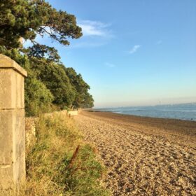 Suburban Safari: Fish and Ships on the Sea Wall