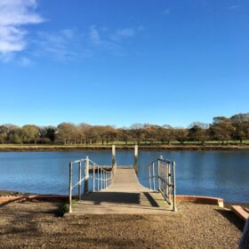 Suburban Safari: Winter Woodland and Waterways      