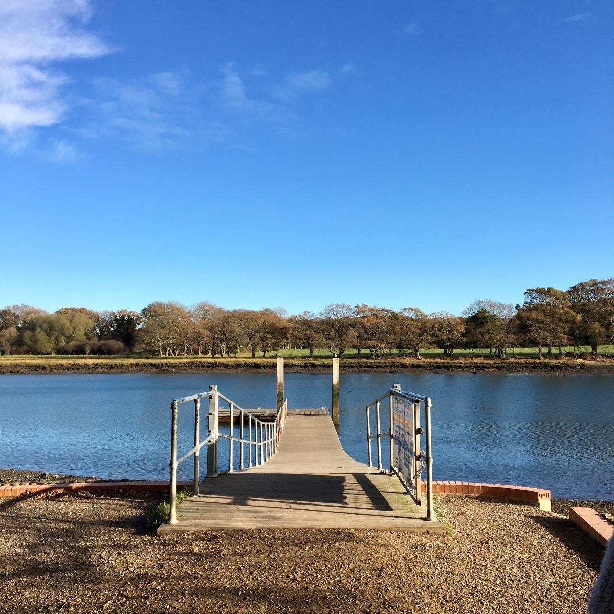 Suburban Safari: Winter Woodland and Waterways      