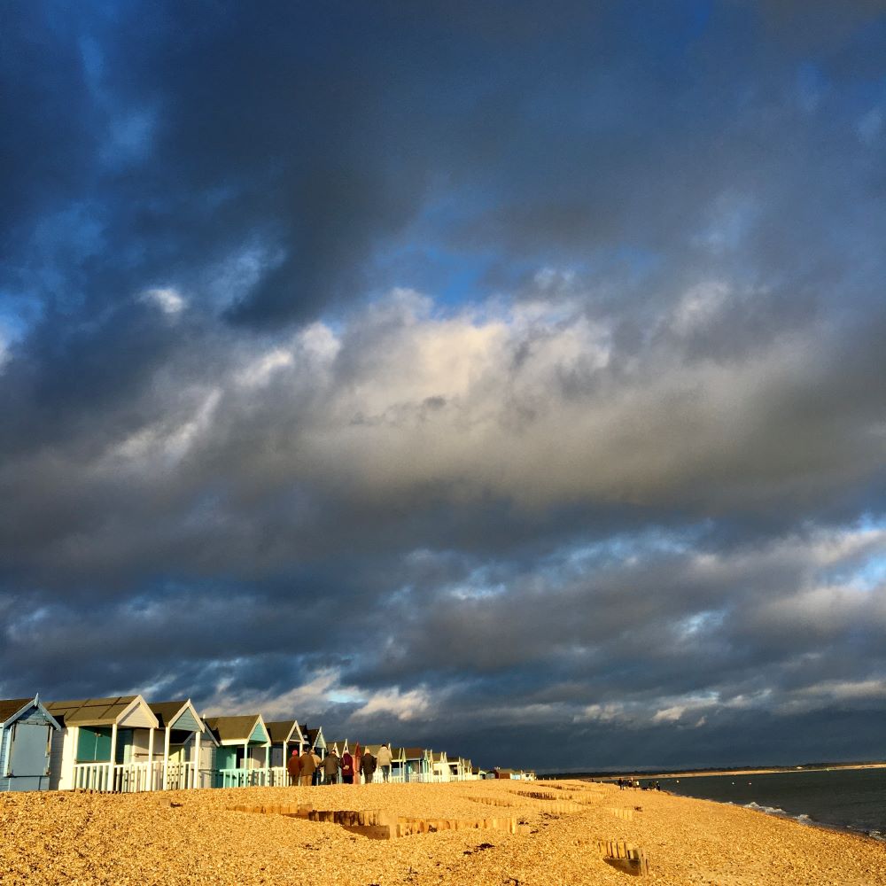 Suburban Safari: A Calshot of Colour   