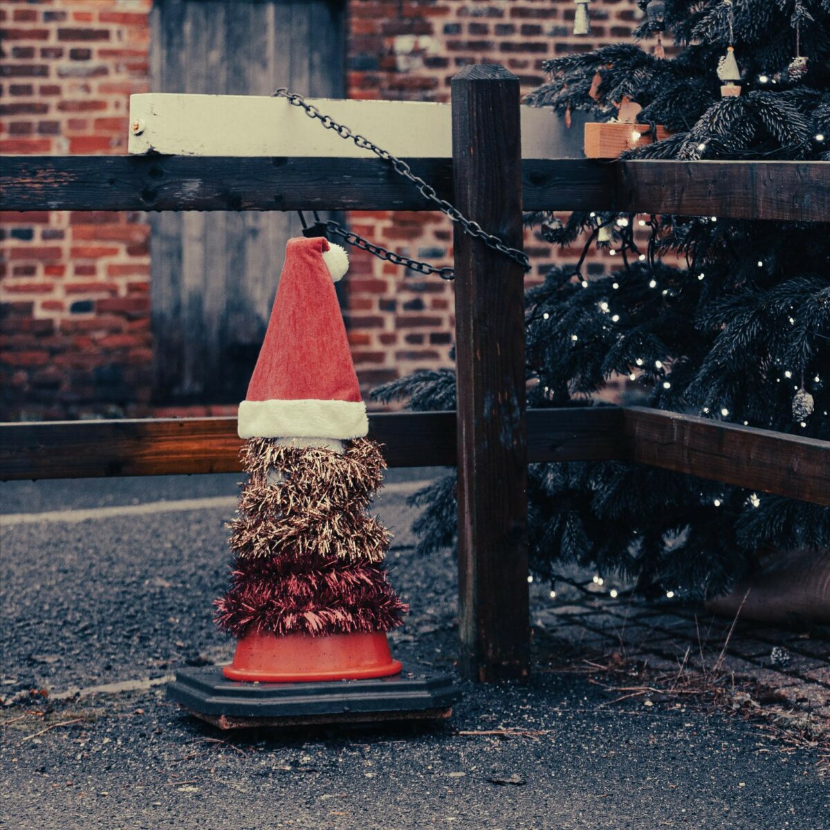 Photos: A morning walk at Christmas