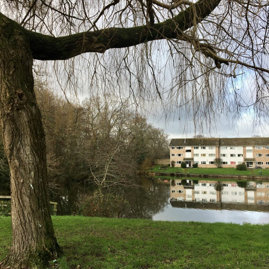 Suburban Safari: Big pond for a little walk   