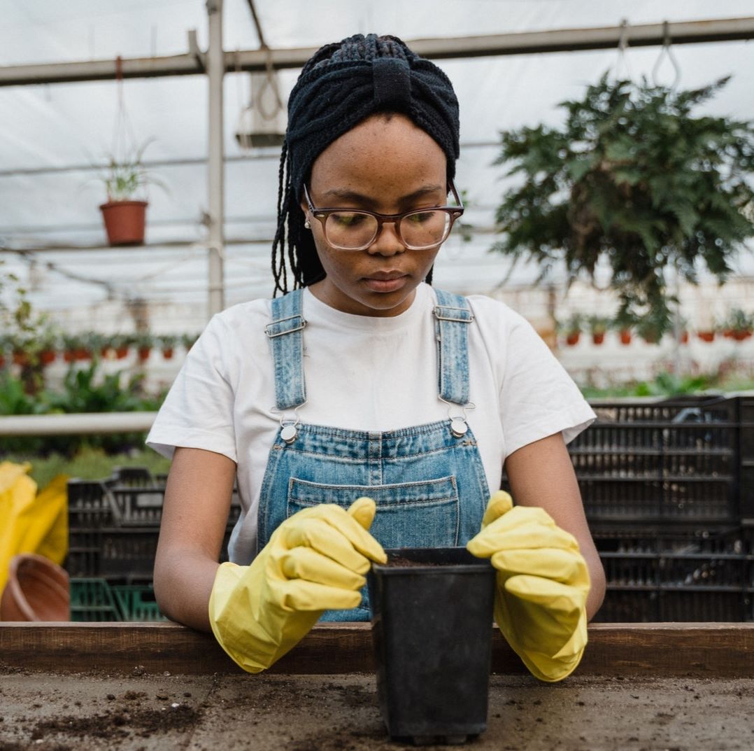 Seed Swap returns to Southampton this weekend