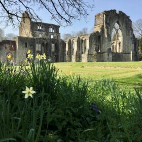 Suburban Safari: Netley Abbey