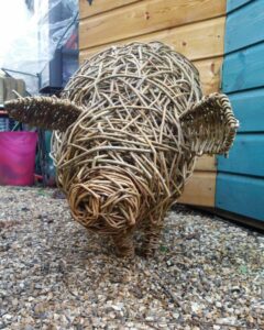Picture shows close up of willow pig.