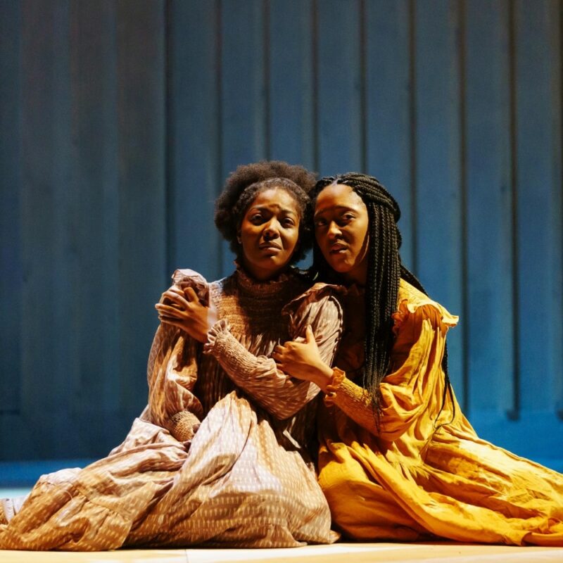 Preview: The Color Purple at Mayflower Theatre, Southampton