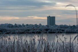 Frosty view of Redbridge Towers.
