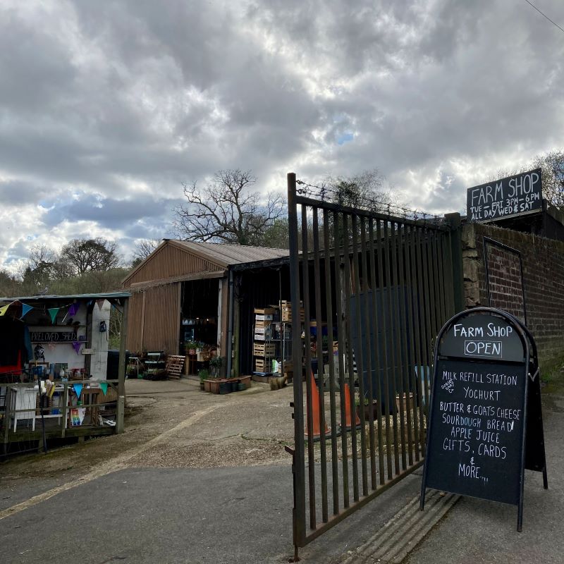 Suburban Safari: Spring worship on the farm 