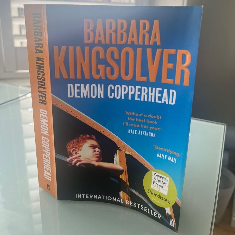 Book review: Demon Copperhead by Barbara Kingsolver