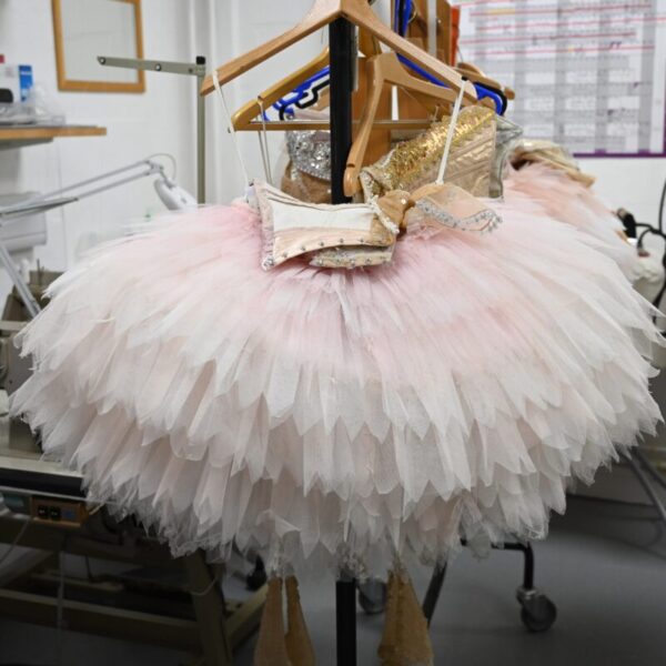 The Big Give is helping Birmingham Royal Ballet to restore costumes