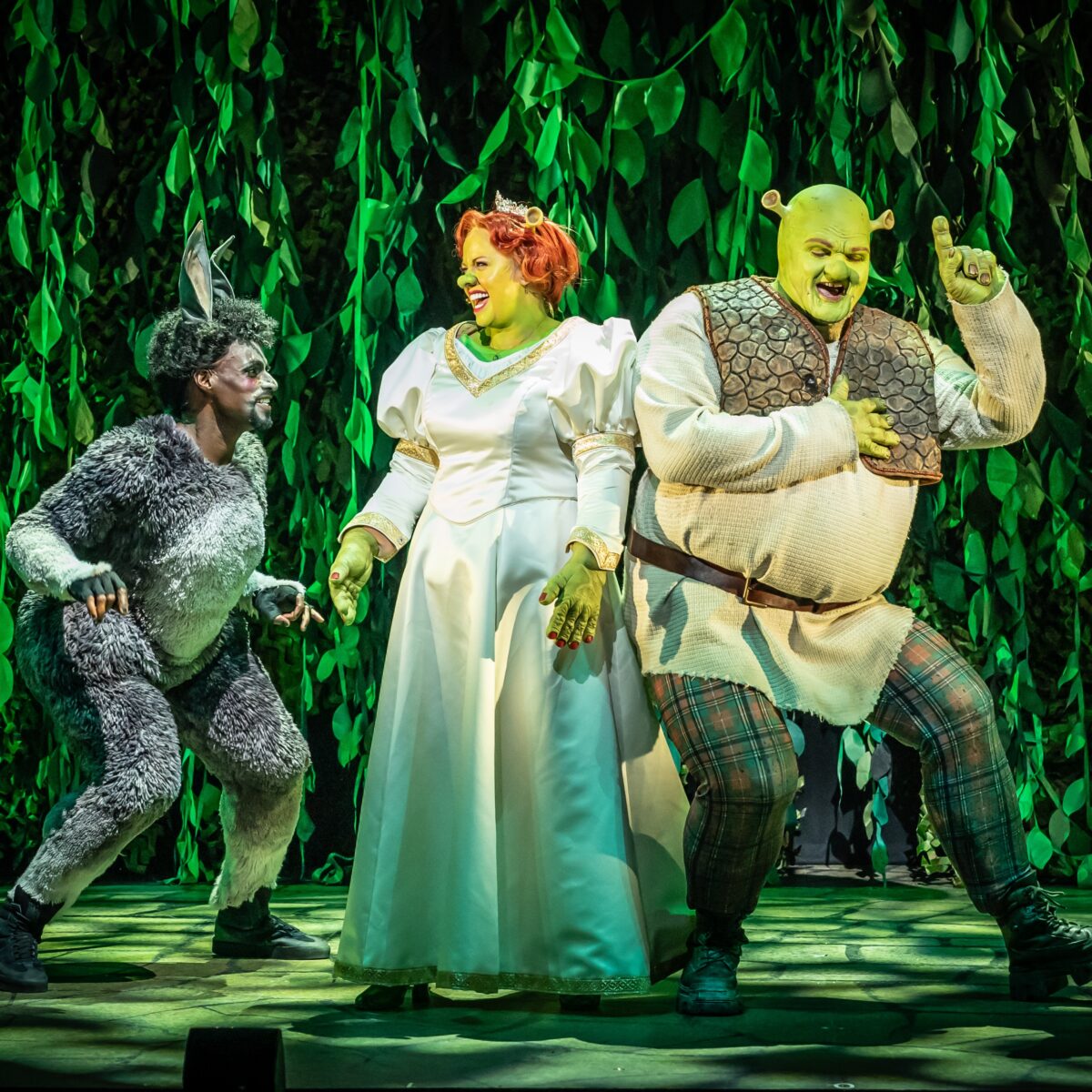 Preview: Shrek the Musical, Mayflower Theatre, Southampton