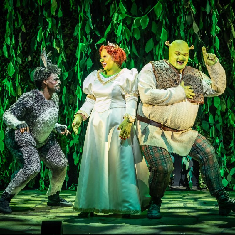 Review: Shrek, Mayflower Theatre