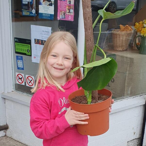 Plant sale to benefit local charity, working to eradicate loneliness in Southampton