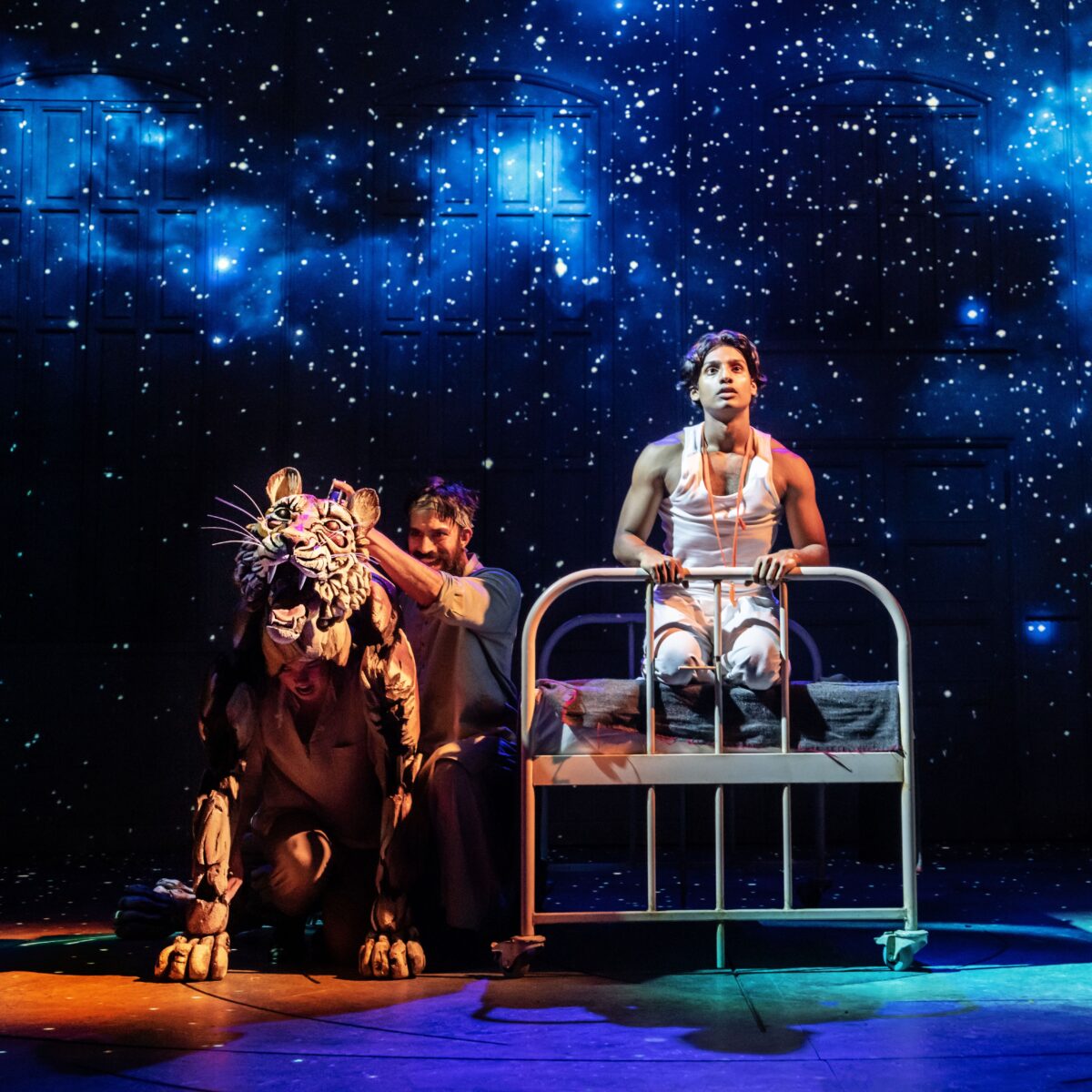 Preview: Life of Pi, Mayflower Theatre, Southampton