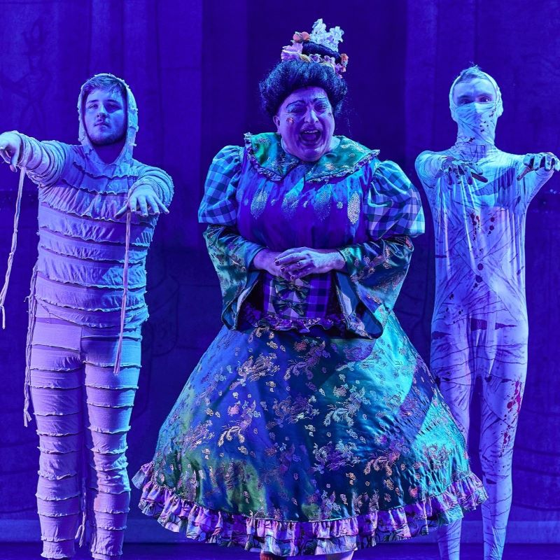 Puss in Boots Panto Community Ensemble auditions