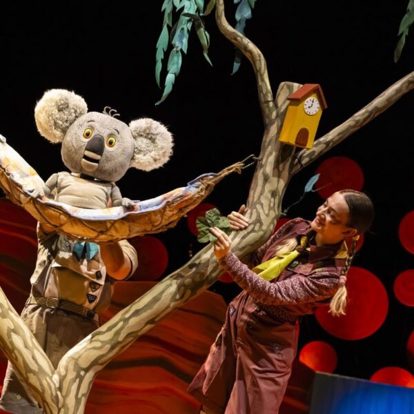 Preview: The Koala Who Could, Theatre Royal Winchester