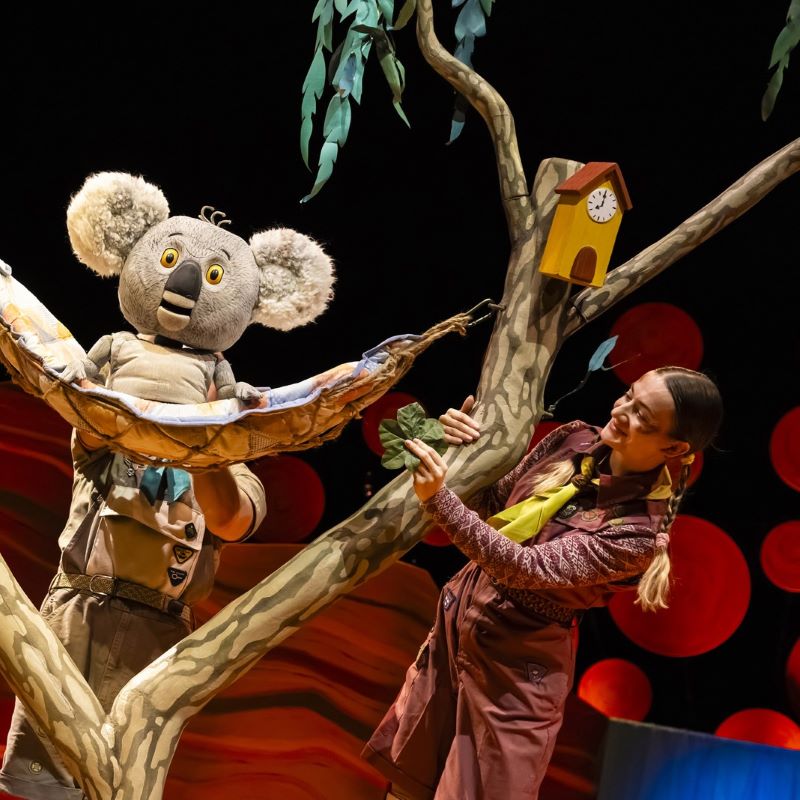 Preview: The Koala Who Could, Theatre Royal Winchester