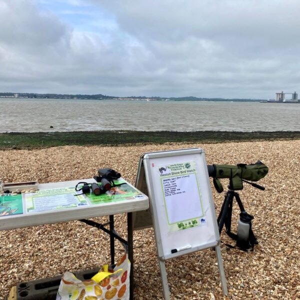 Urban Wild – Weston Shore Birdwatching and Guided Walk